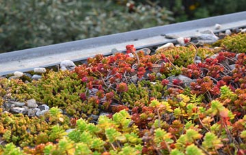 the cost of Old Farm Park green roof installation