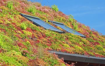 Old Farm Park living roof systems